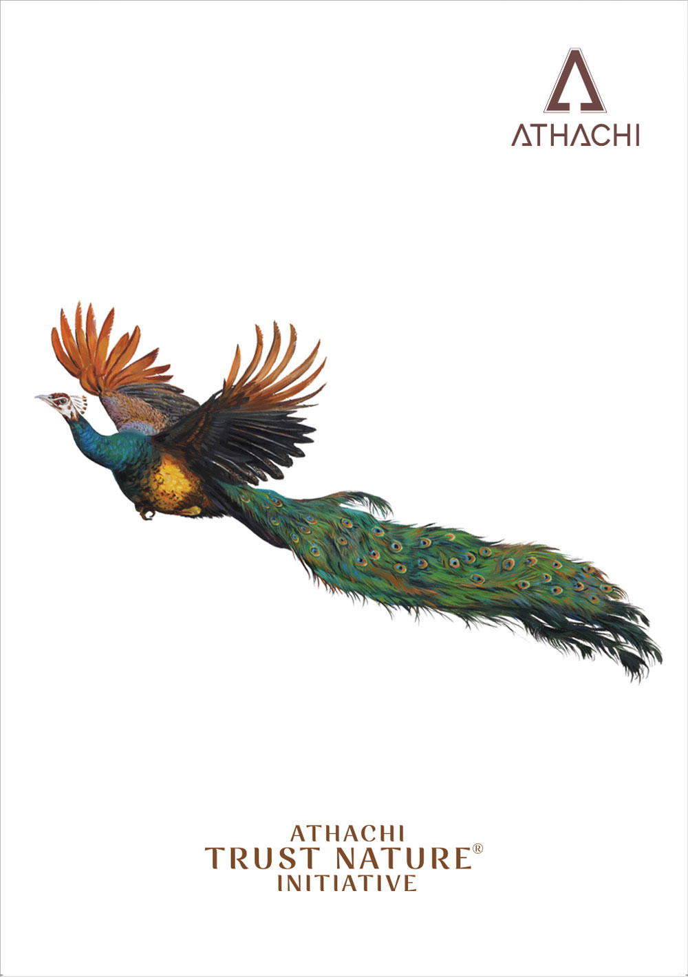Trust Nature Brochure