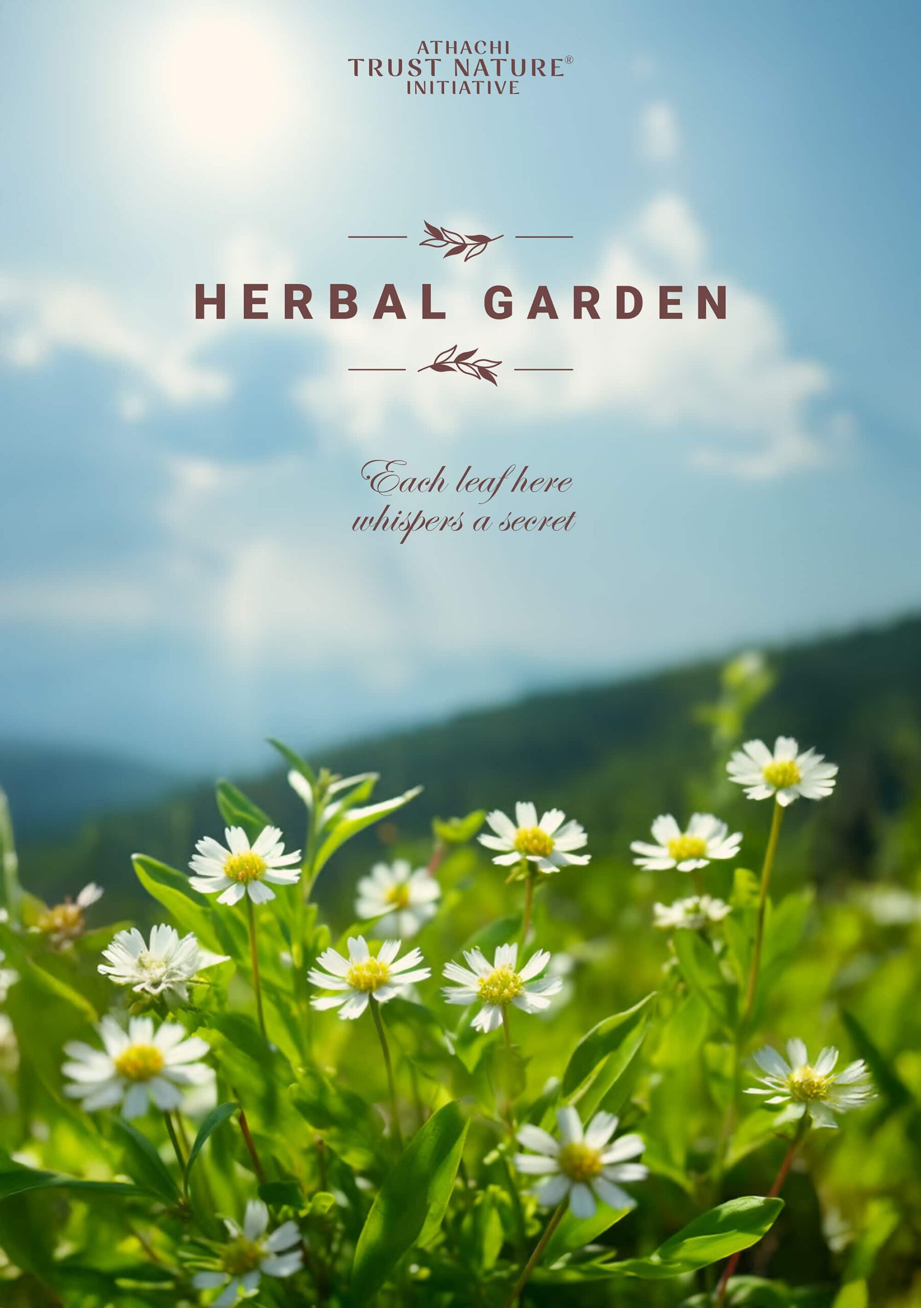 Herbal Garden