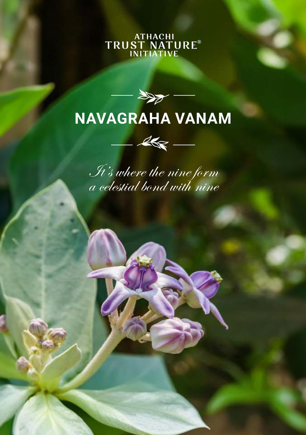 Navagraha Vanam